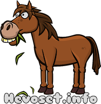 Hevoset.info